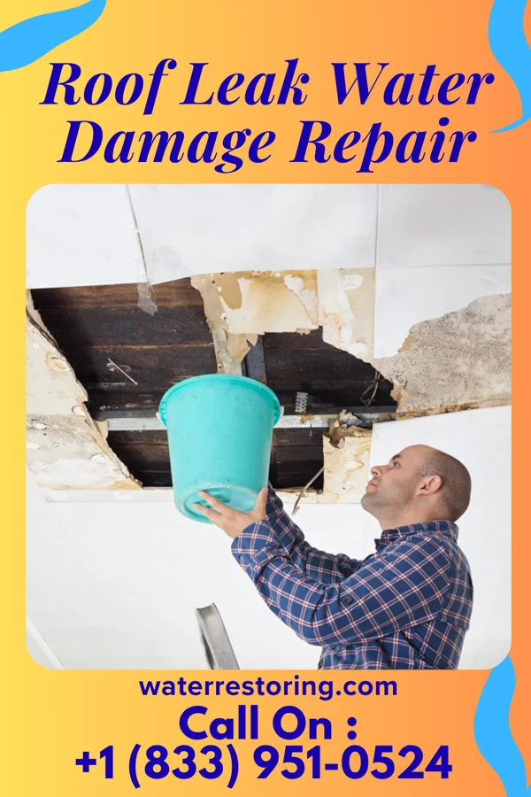 Roof Leak Water Damage Repair in Cokesbury, SC