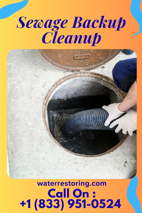 Sewage Backup Cleanup in Cokesbury, SC