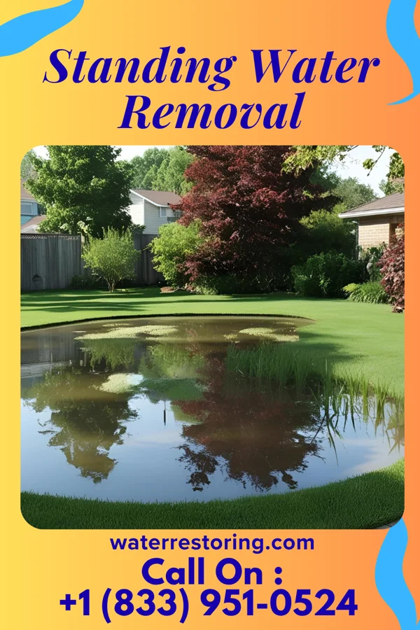 Standing Water Removal in Cokesbury, SC